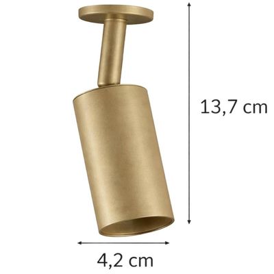 Spot de Teto em Alumínio Dourado Redondo Luminária Interna de Sobrepor Bivolt Neo Dital
