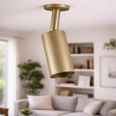Spot de Teto em Alumínio Dourado Redondo Luminária Interna de Sobrepor Bivolt Neo Dital
