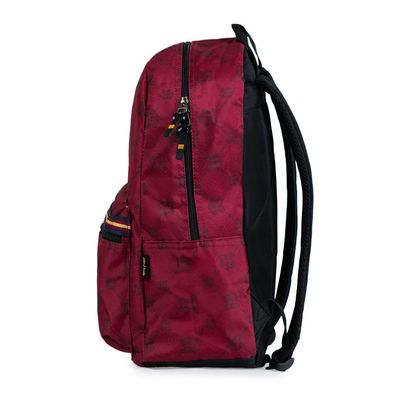Mochila Escolar Juvenil Harry Potter Brasão Vinho U / Vinho