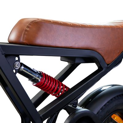 Bicicleta Scooter Elétrica WX-19 Wehawk 750W Bat 48V 15Ah Litio Banco Marrom