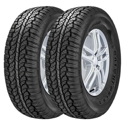 Pneu Lanvigator Catchfors A/T 275/65 R18 AT 123S