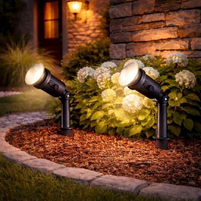 Kit 8 Luminárias Espeto para Jardim Preto Projetor Iluminaçã