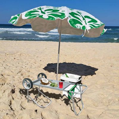 Carrinho de Praia Botafogo com Extensor 0660