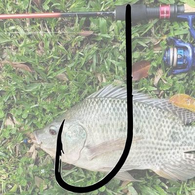 Anzol Baitholder Black 4/0 Pesca Brasil para Água Doce ou Sa