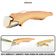 Cabo Universal Destacável Smartclick Extream com Trava Rápida Amadeirado 1 Unidade