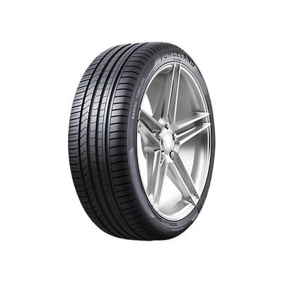 Pneu Forceland VITALITY F22 195/65R15 Aro 15 91V