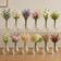 Conjunto 12 Vasos Vidro 17cm Pumpkin Lyor Vasinho Transparente Flores Decoração Centro de Mesa