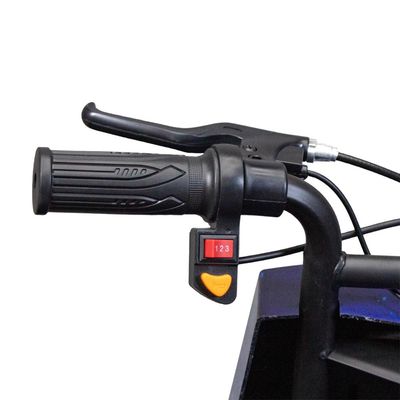 Triciclo Elétrico WeHawk Drift WX-16 350W Bat Lítio 36V 4,4Ah - Azul