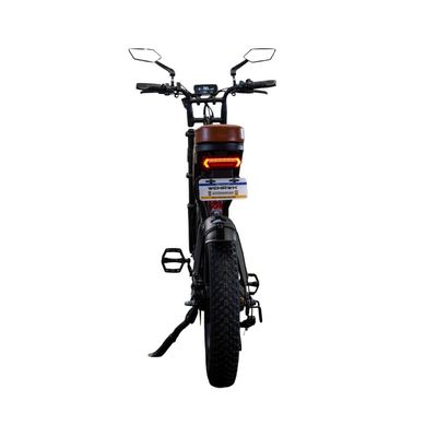 Bicicleta Scooter Elétrica WeHawk WX-19 500W 48V 15Ah Lítio