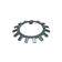 Arruela Dentada 35Mm Chiaperini B1 B2 B3 (Virabrequim) Msv15Ss Msv23Ss Msv25Bp Msv30Bp Msv35Bp Wtv40N Msv40S Mb07
