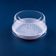 Embalagem Para Bolo G35MA Base Branca 100un 500g Galvanotek