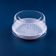 Embalagem Para Bolo G35MA Base Branca 100un 500g Galvanotek