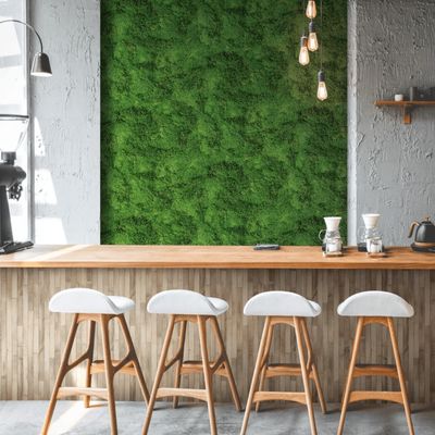 Papel de Parede Struktura Folhagem Verde 45733